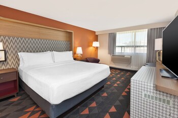 Suite, 1 King Bed with Sofa bed