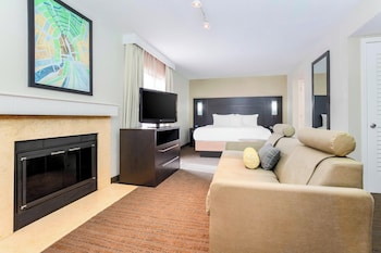 Studio, 1 King Bed with Sofa bed