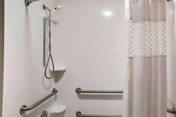 Room, 1 Queen Bed, Mobility Accessible, Non Smoking (Roll-In Shower)