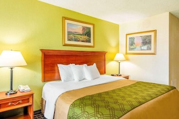 Standard Room, 1 King Bed, Patio