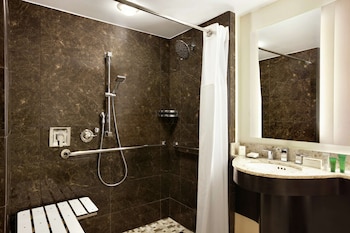 Room, Accessible (Roll-In Shower)