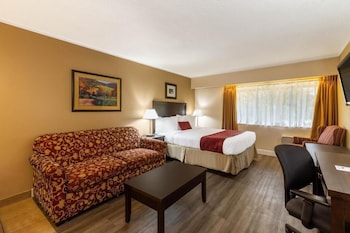 Suite, 1 Queen Bed, Non Smoking (with Sofabed)