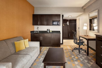 Suite, 1 King Bed, Microwave
