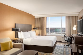Room, 1 King Bed, Microwave