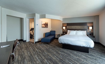 Standard Room, 1 King Bed, Non Smoking, Refrigerator & Microwave (Walk-in Shower)