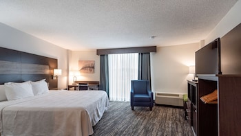 Standard Room, 1 King Bed, Accessible, Refrigerator & Microwave (Walk-in Shower)