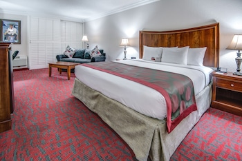 Room, 1 King Bed, Non Smoking
