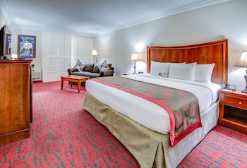 Room, 1 King Bed, Non Smoking