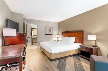 Standard Room, 1 King Bed, Accessible, Bathtub