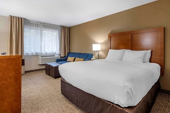 Standard Room, 1 Queen Bed with Sofa bed, Non Smoking (1 Person Sofa Bed)
