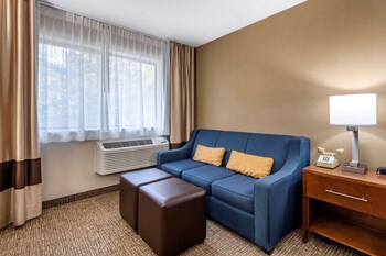 Standard Room, 1 Queen Bed with Sofa bed, Non Smoking (1 Person Sofa Bed)