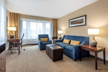 Suite, 1 King Bed with Sofa bed, Non Smoking (2 Person Sofa Bed)