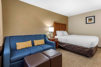 Standard Room, 1 Queen Bed with Sofa bed, Non Smoking (1 Person Sofa Bed)