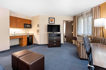 Suite, 1 King Bed with Sofa bed, Non Smoking
