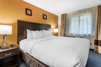 Suite, 1 King Bed with Sofa bed, Non Smoking