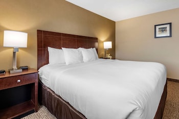 Suite, 1 King Bed with Sofa bed, Non Smoking (2 Person Sofa Bed)