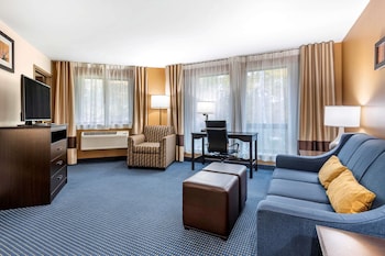 Suite, 1 King Bed with Sofa bed, Non Smoking
