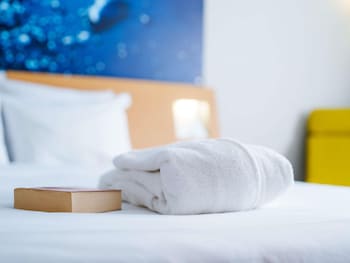 Executive Room, 1 Double Bed
