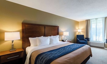 Standard Room, 1 King Bed, Non Smoking
