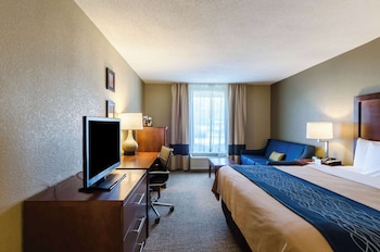 Business Room, 1 King Bed, Non Smoking
