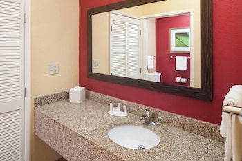 Suite, 1 King Bed with Sofa bed