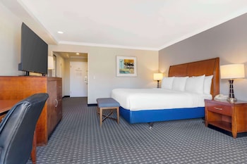 Standard Room, 1 King Bed, Accessible, Non Smoking (Larger Room)