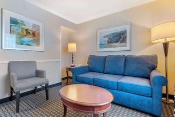 Suite, 1 King Bed, Accessible, Bathtub (with Sofabed)