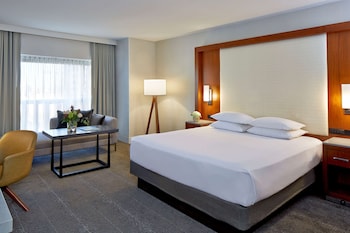 Premium Suite