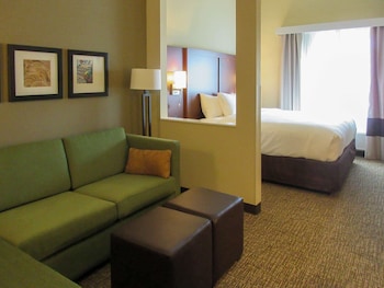 Suite, 1 King Bed with Sofa bed, Accessible, Non Smoking