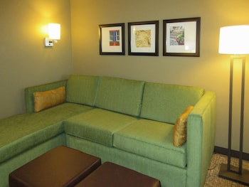 Suite, 1 King Bed with Sofa bed, Accessible, Non Smoking