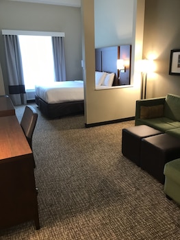 Suite, 1 King Bed with Sofa bed, Accessible, Non Smoking