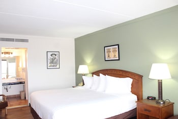 Standard Room, 1 King Bed, Non Smoking