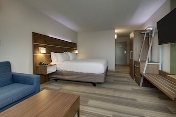 Suite, 1 King Bed with Sofa bed, Accessible, Non Smoking (Communications Accessible)