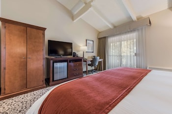 Standard Room, 1 King Bed, Non Smoking, Mountain View