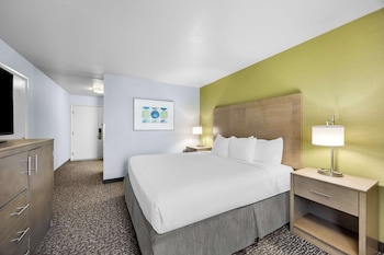 Standard Room, 1 King Bed, Non Smoking, Refrigerator & Microwave