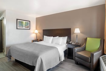 Standard Room, 1 King Bed, Non Smoking