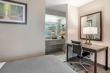 Suite, Multiple Beds, Non Smoking