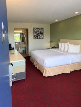 Standard Room, 1 King Bed