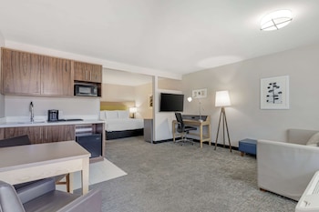 Suite, 1 Bedroom, Non Smoking