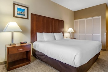 Room, 1 King Bed, Accessible, Non Smoking