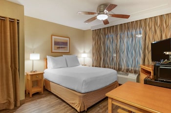 Economy Room, 1 Queen Bed, Non Smoking, Refrigerator & Microwave (Small room)