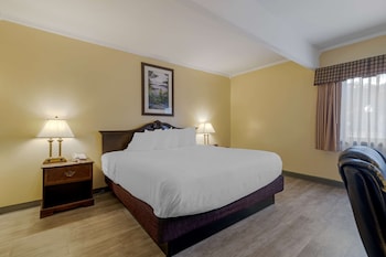 Deluxe Single Room, 1 King Bed, Non Smoking