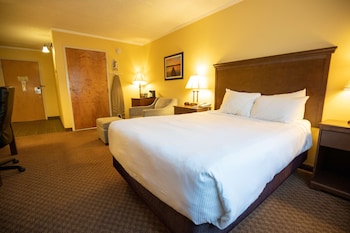 Standard Single Room, 1 King Bed, Non Smoking
