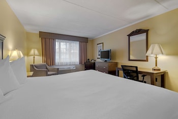 Deluxe Single Room, 1 King Bed, Non Smoking