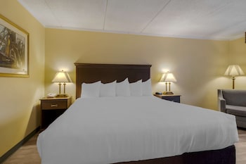 Standard Room, 1 Double Bed, Accessible, Non Smoking
