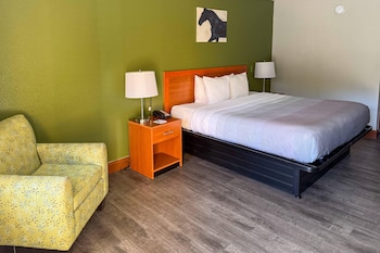 Standard Room, 1 King Bed, Smoking