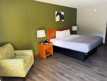 Standard Room, 1 King Bed, Smoking