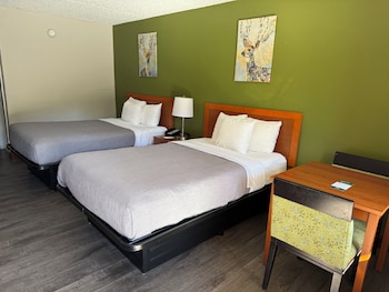 Standard Room, 2 Double Beds, Non Smoking