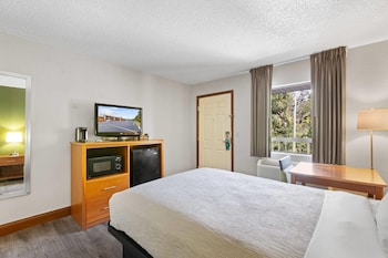 Standard Room, 1 Double Bed, Smoking