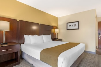 Standard Room, 1 Queen Bed, Accessible, Non Smoking